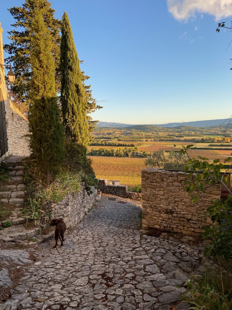 image du village de Joucas, très pittoresque à visiter absolument. Représentatif des Actualités Evènements en cours en Luberon